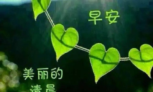 索非布韦是哪个公司产的-印度索菲布韦效果如何网 - 为你提供索菲布韦片、索非布韦片的说明书