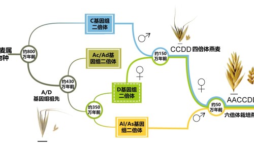 索非布韦维帕塔韦片-印度索菲布韦效果如何网 - 为你提供索菲布韦片、索非布韦片的说明书